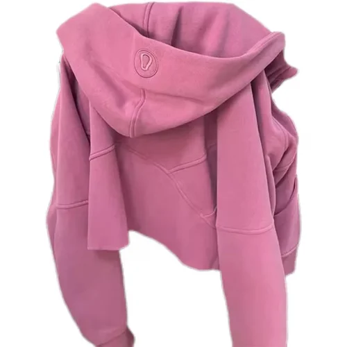 Retro Embroidery Design Hooded Sweatshirt for Women Petite Autumn Short Versatile Elegant Zipper Top